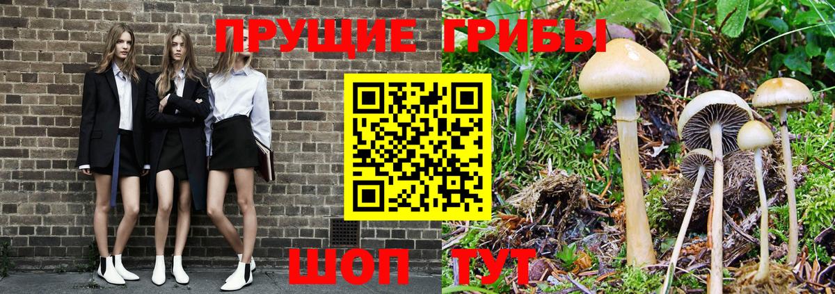 Галлюциногенные грибы прущие грибы  Галлюциногенные грибы MAGIC MUSHROOMS  Кольчугино  Вход с VPN 